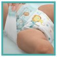 Pampers Baby-Dry Pants Pants - Lote de 2 pañales Online now